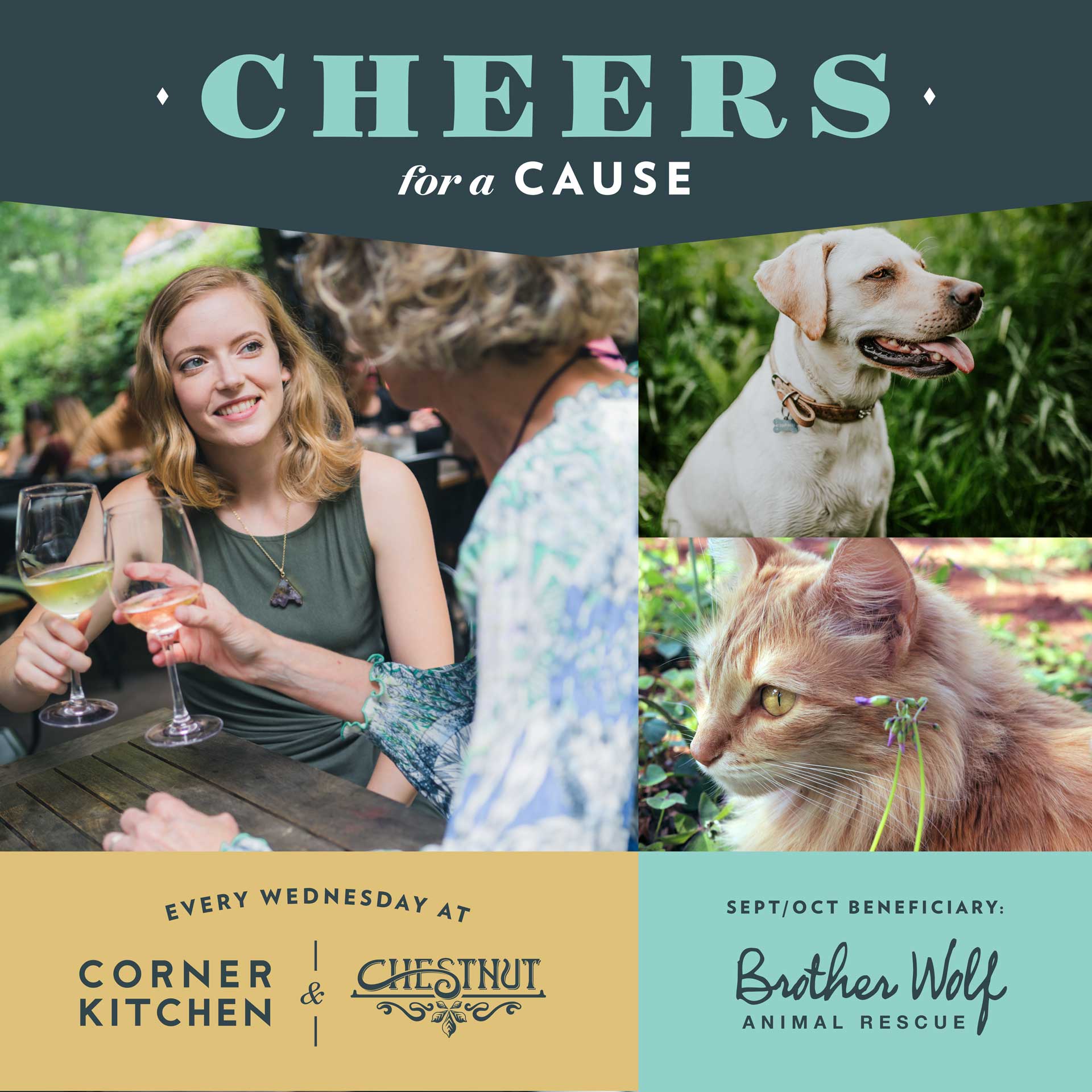 Cheers for a cause ad design 
