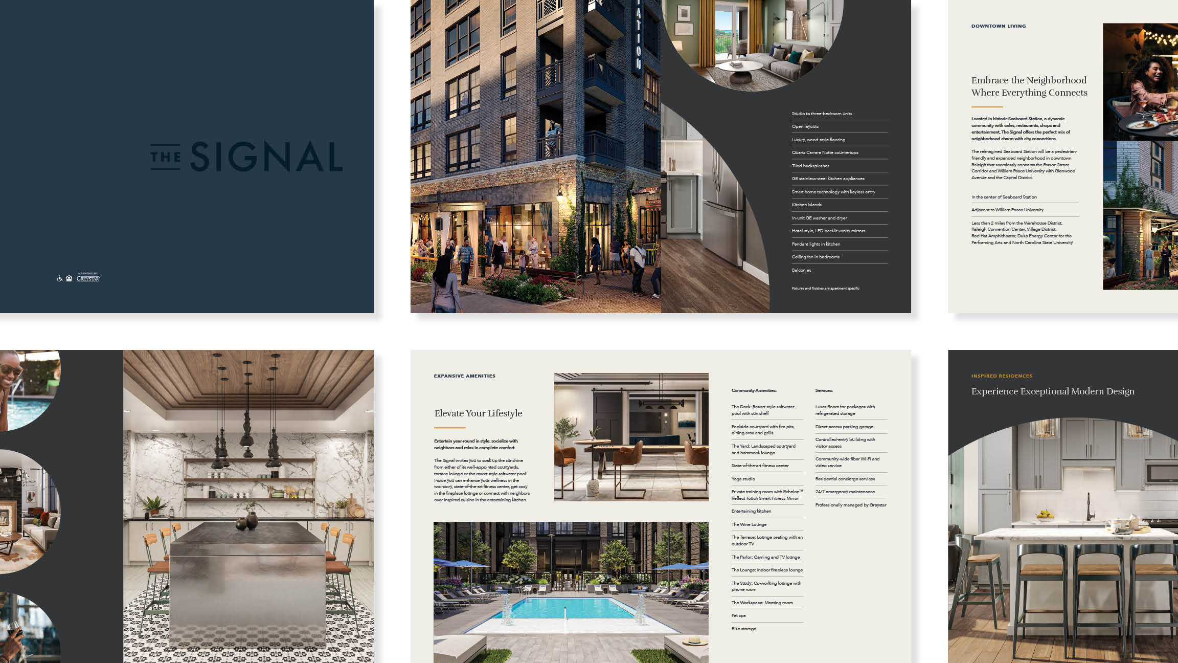 The Signal brochure design