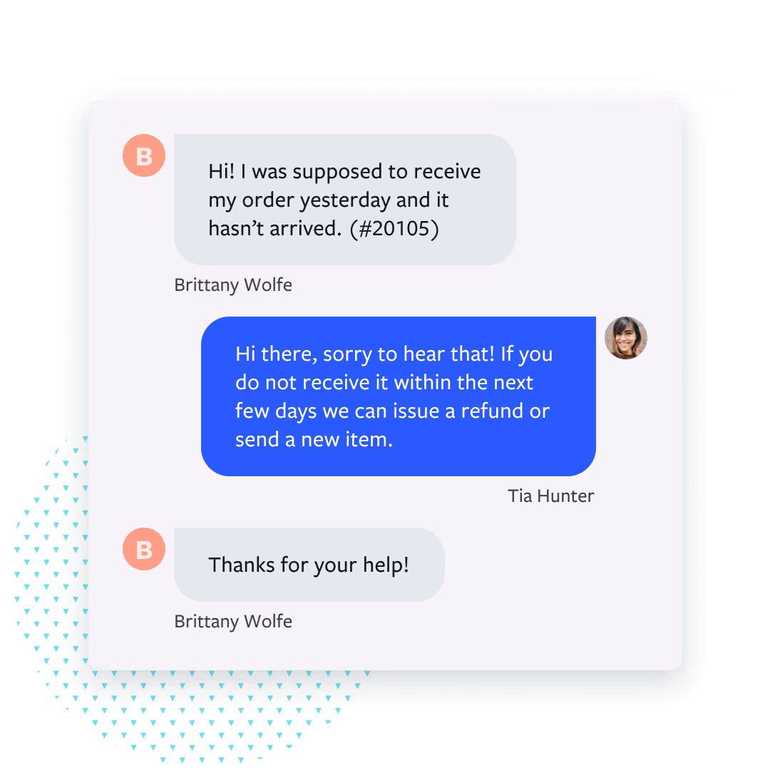 Conversation between customer and agent regarding a missing package