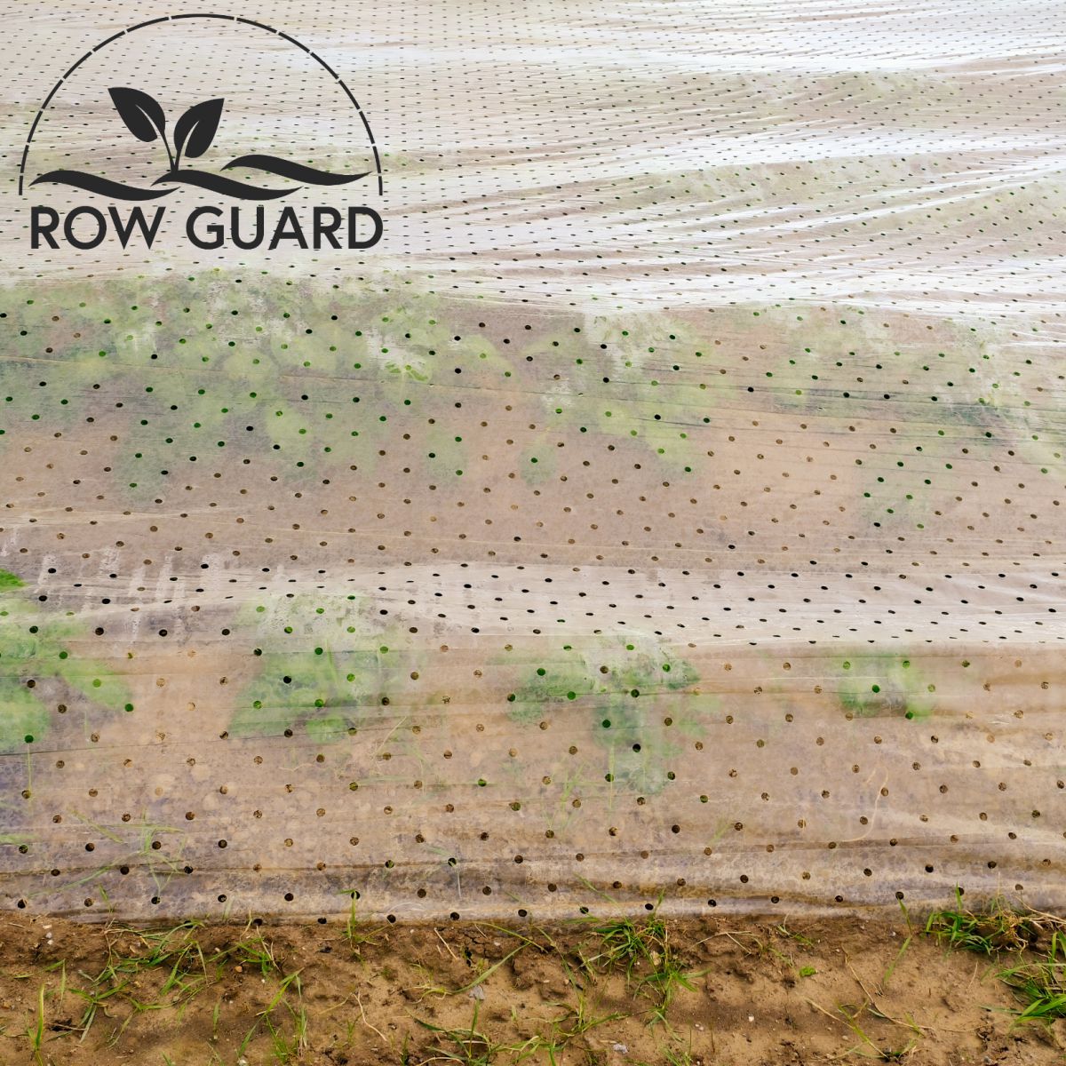 Row Guard™ Perforated Row Covers 
