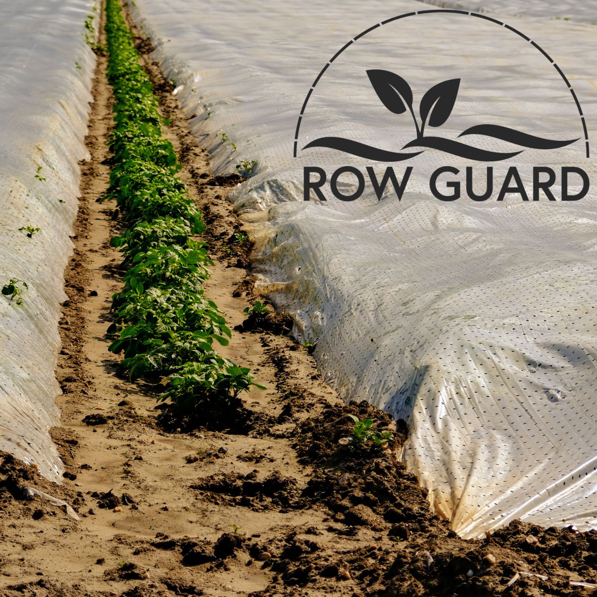 Row Guard™ Perforated Row Covers 