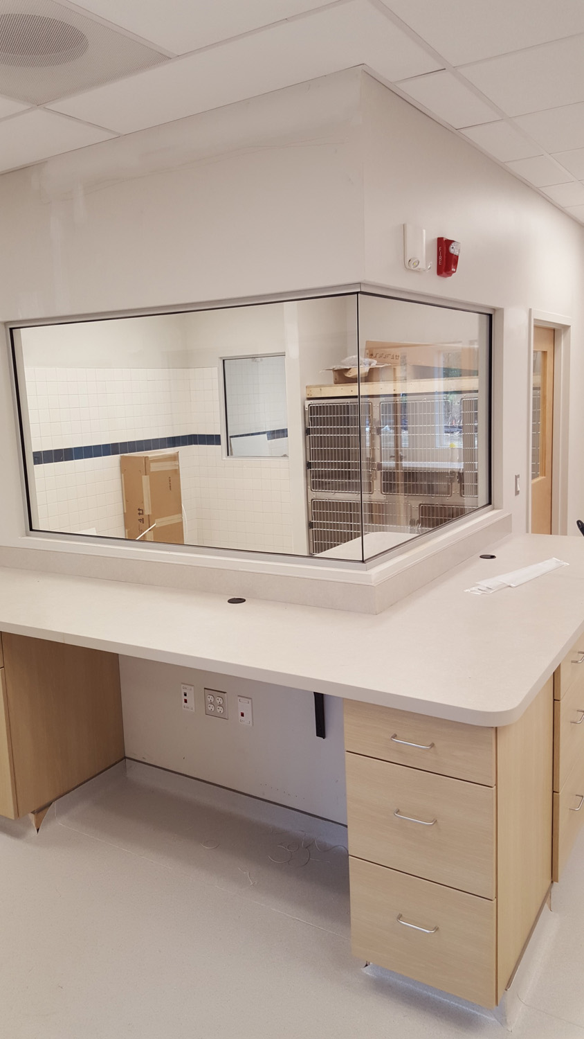 Mallets Bay Veterinary Clinic - Gallery Image