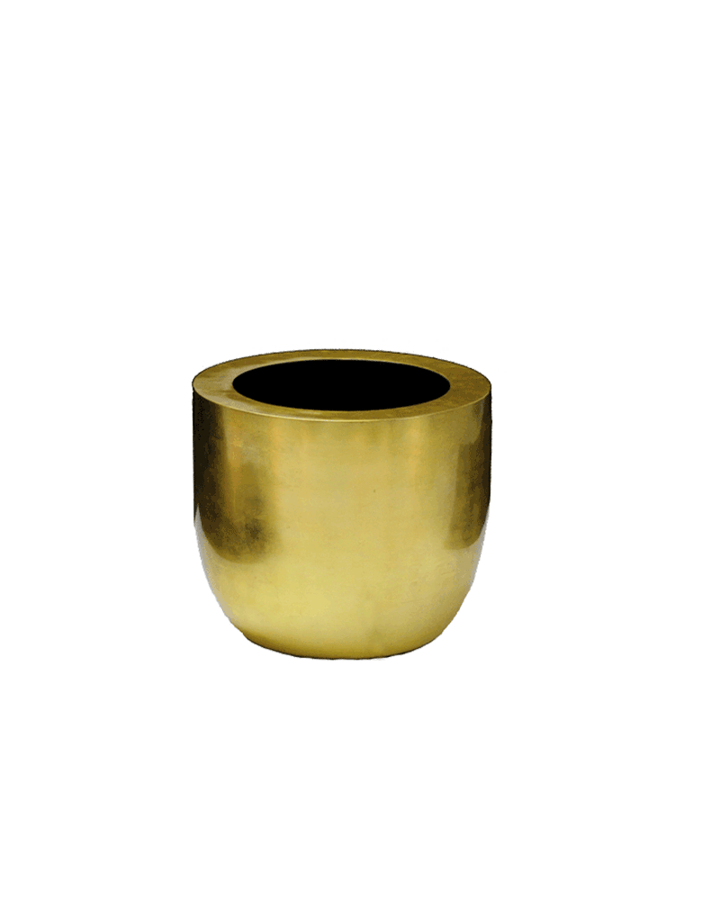 Vaas Goud