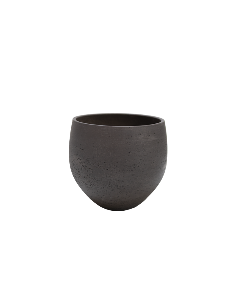 Vaas Sand Dark