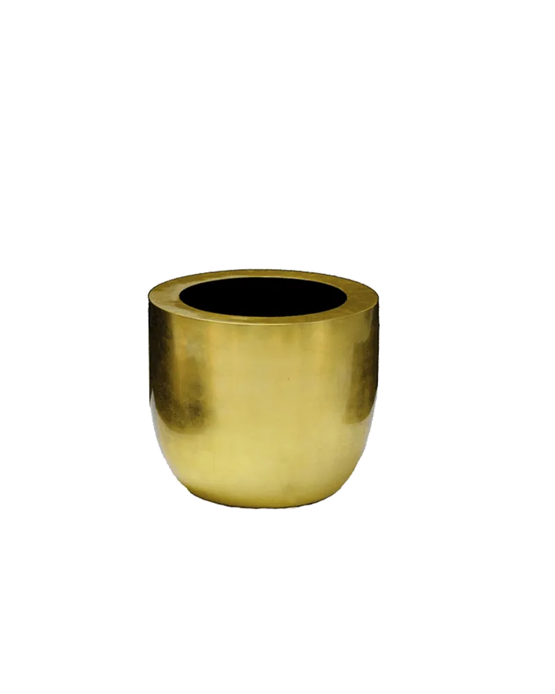 Vaas Goud