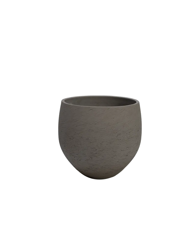 Vaas Sand Light