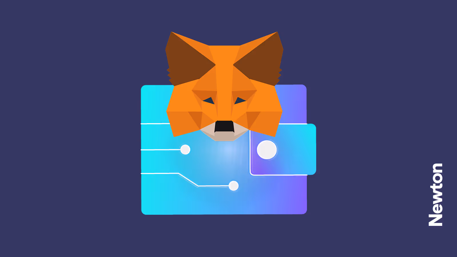How to Set Up a MetaMask Wallet