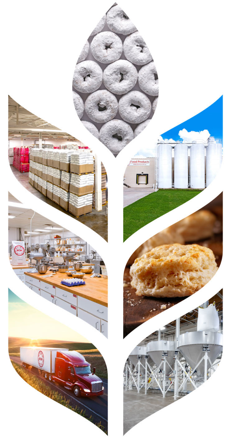 BCW wheat collage