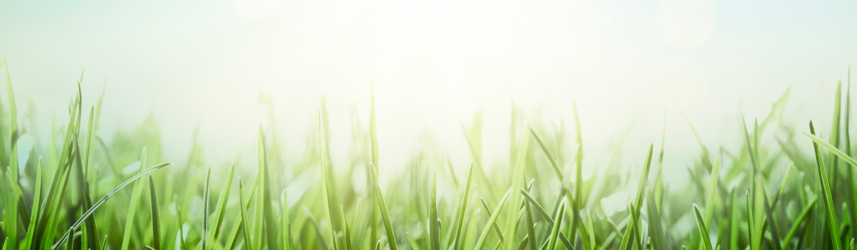 Facility Spring Holiday Hours