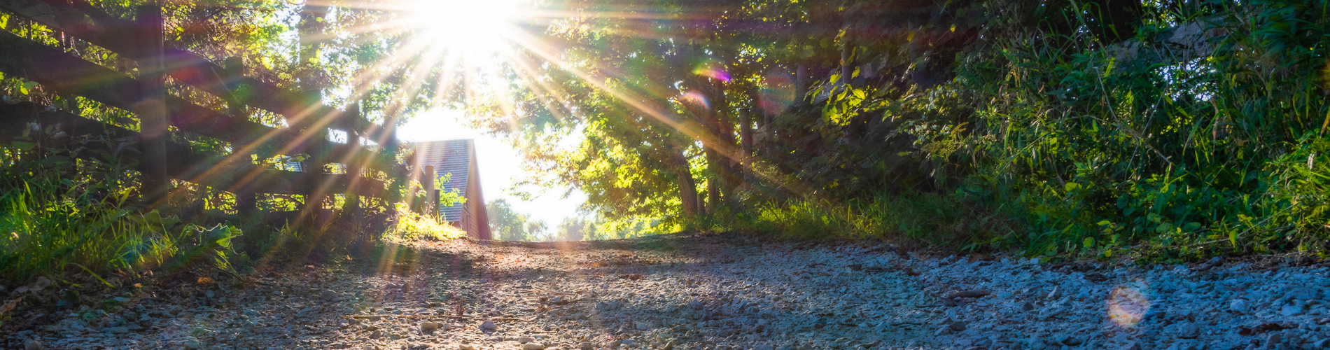 Sunlight streaming through trees over a gravel trail at Spring Valley.