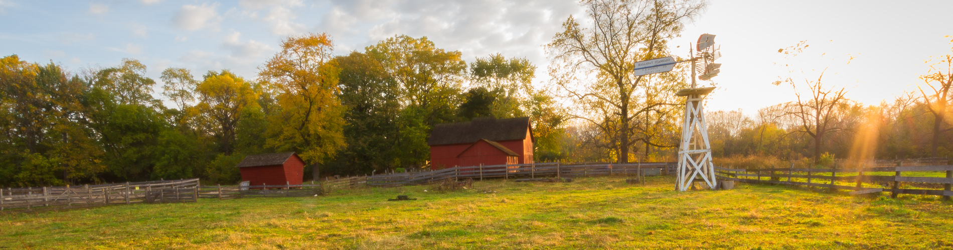 Red barns and a windmill at Volkening Heritage Farm in golden sunlight.