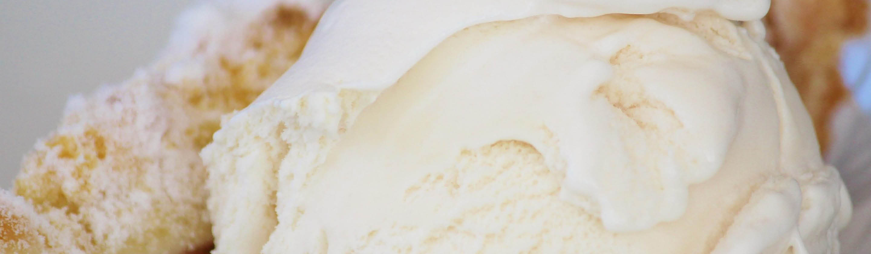 Close-up of scoops of vanilla ice cream.