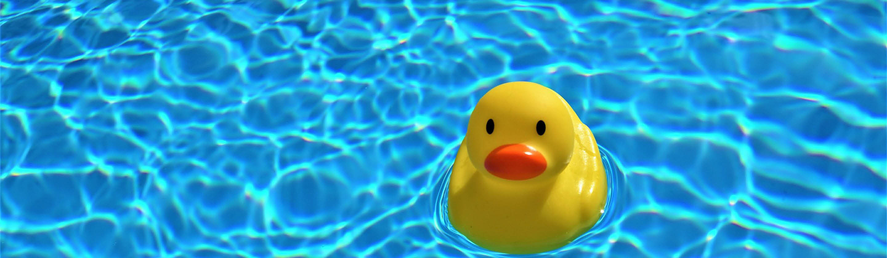 Yellow rubber duck floating in sparkling blue water.
