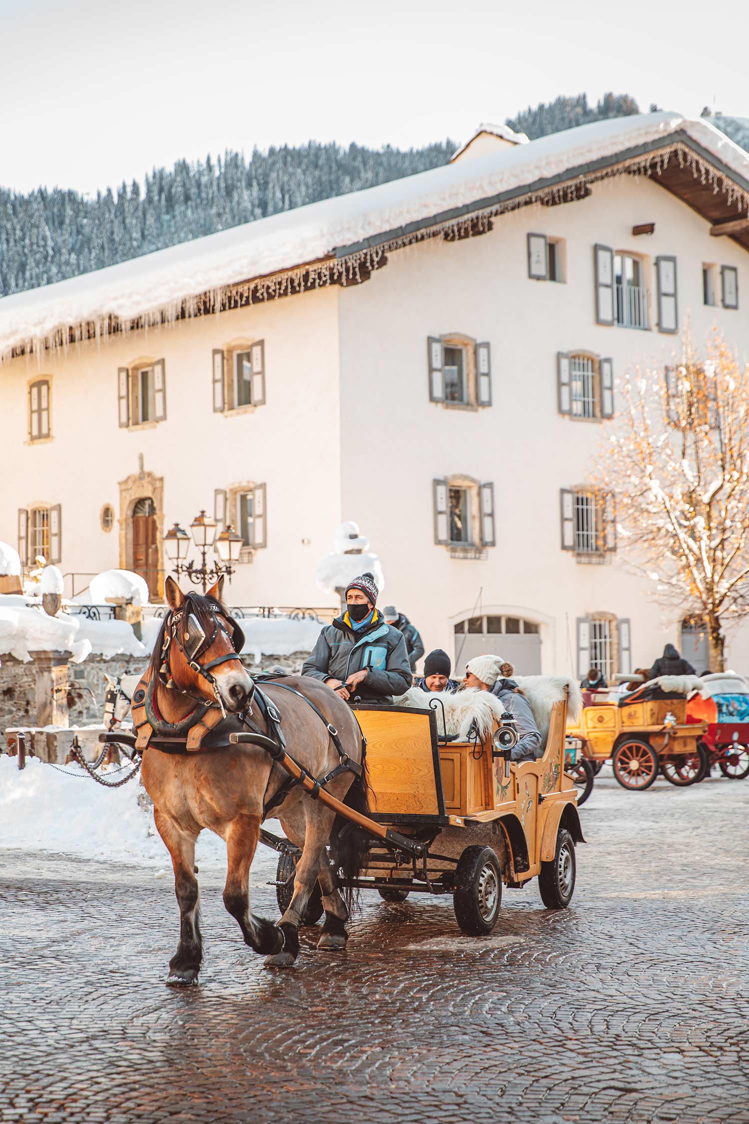 Horse-drawn carriage ride