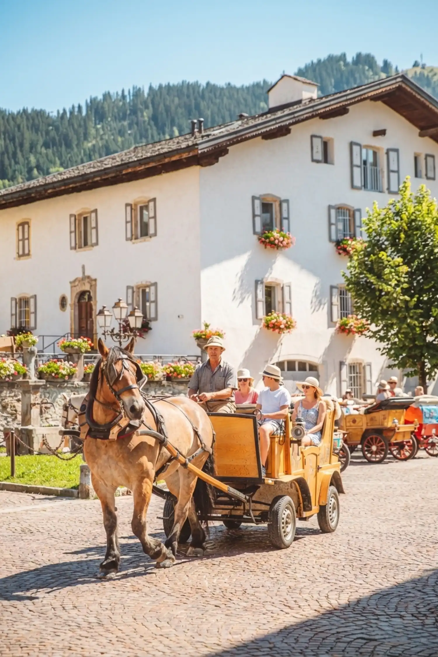 Promenade en calèche 