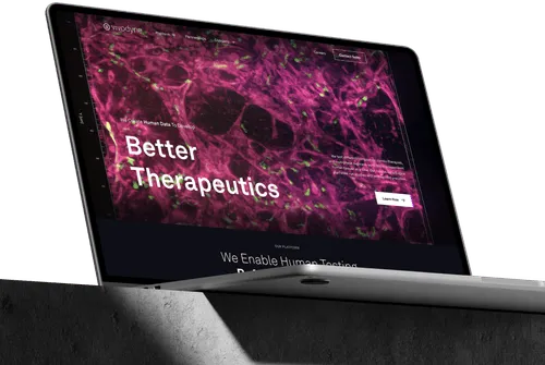A modern website design for Vivodyne, featuring a clean layout and user-friendly navigation for enhanced accessibility.
