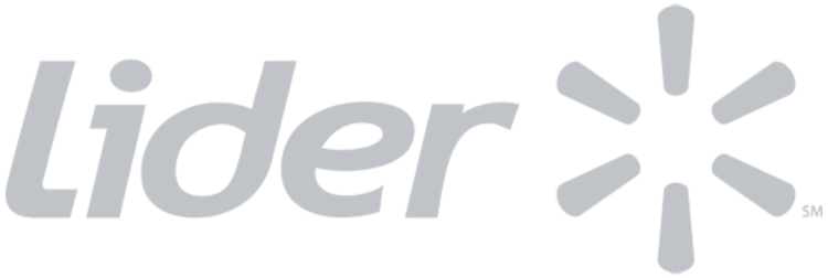 Lider logo