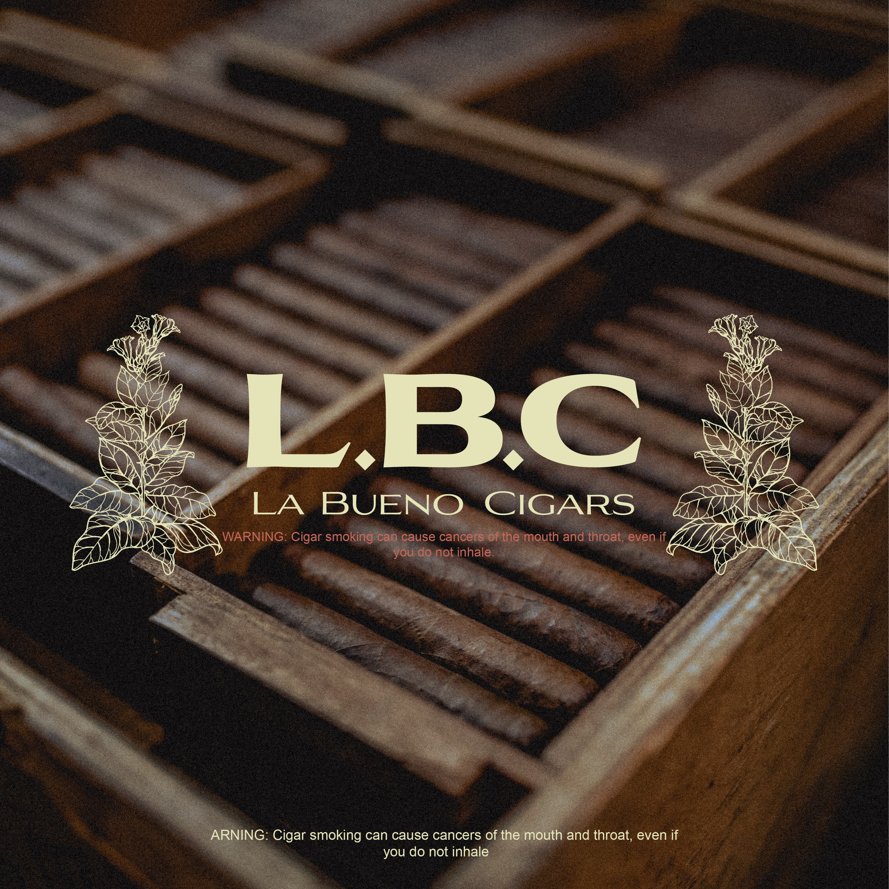 Wooden boxes filled with neatly arranged cigars with La Bueno Cigars logo and smoking warning overlaid.
