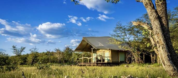 Ongava Tented Camp, Namibia