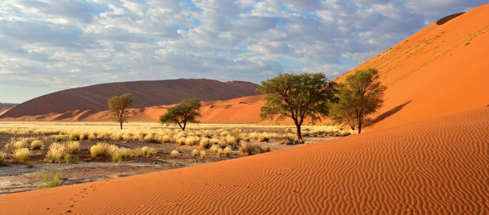 Dunes at Sossusvlei