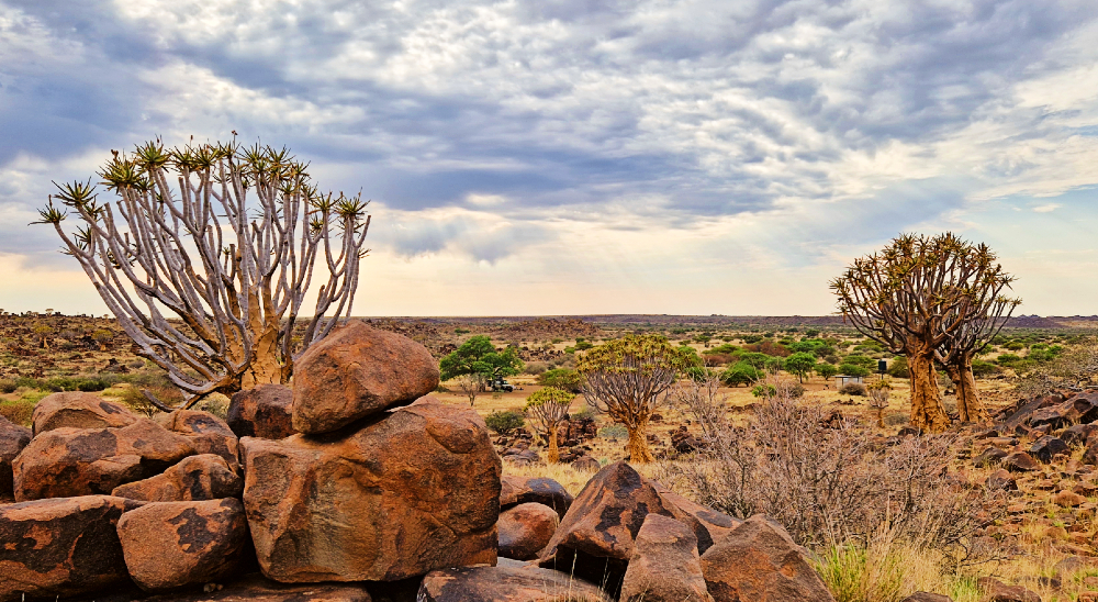 Mesosaurus Fossil Camp, Namibia