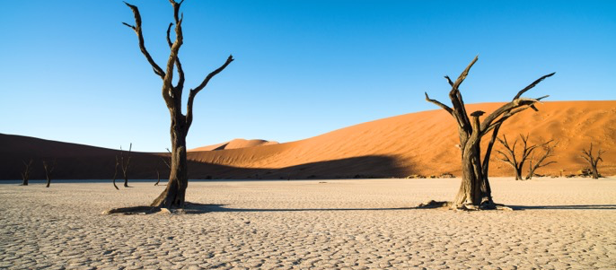 Dead Vlei, Namibia
