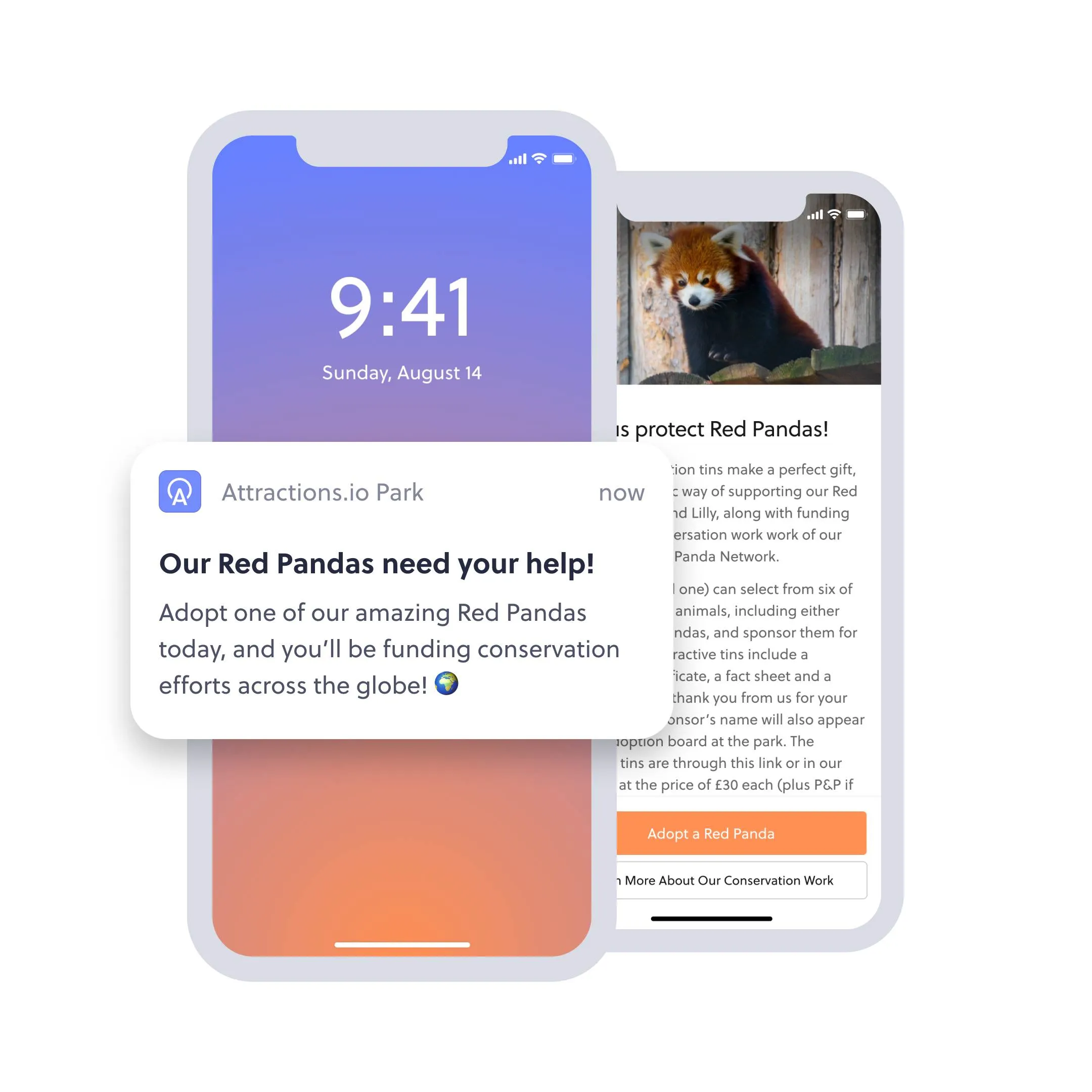 in app education and notifications to inspire