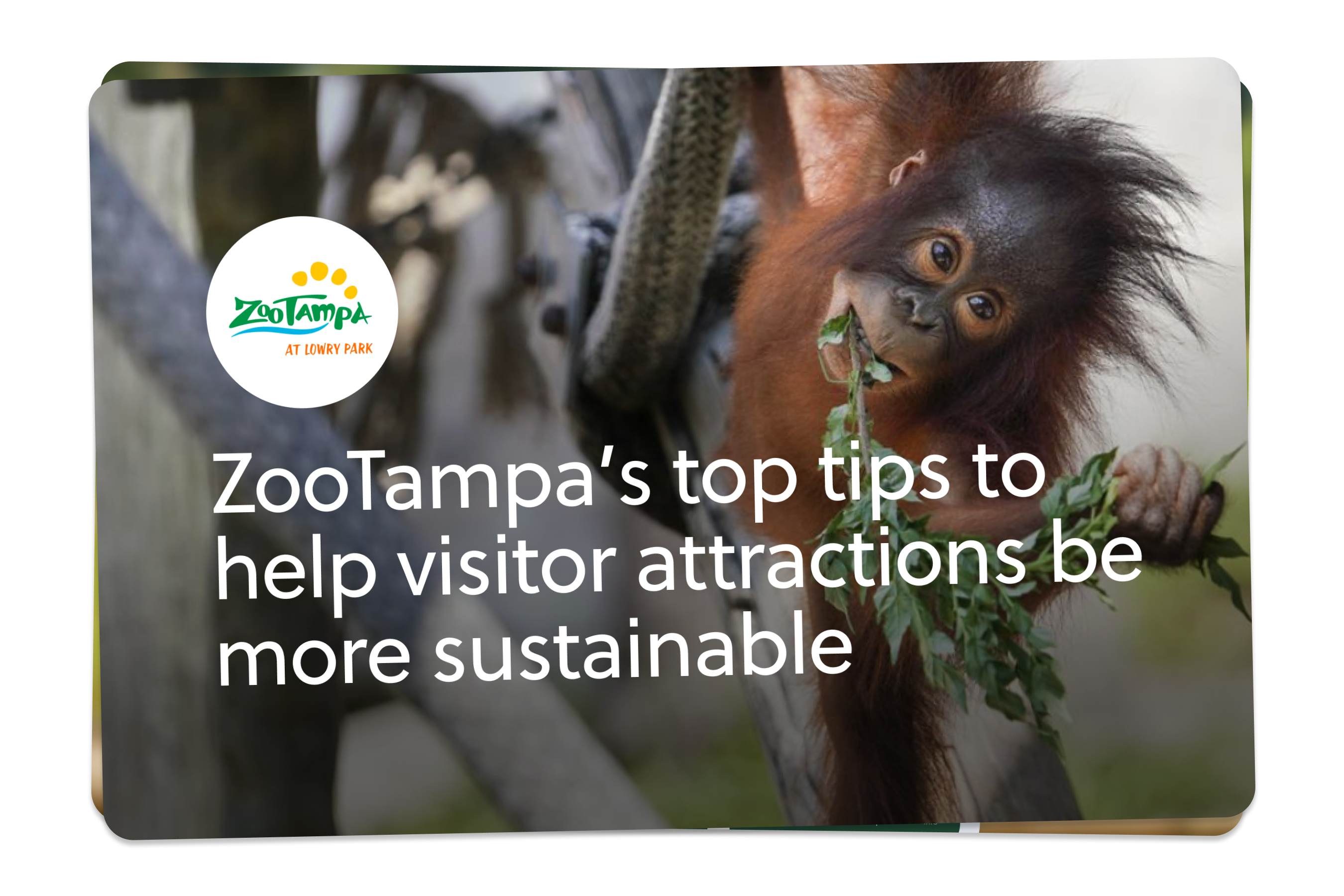 Sustainability tips from visitor attractions