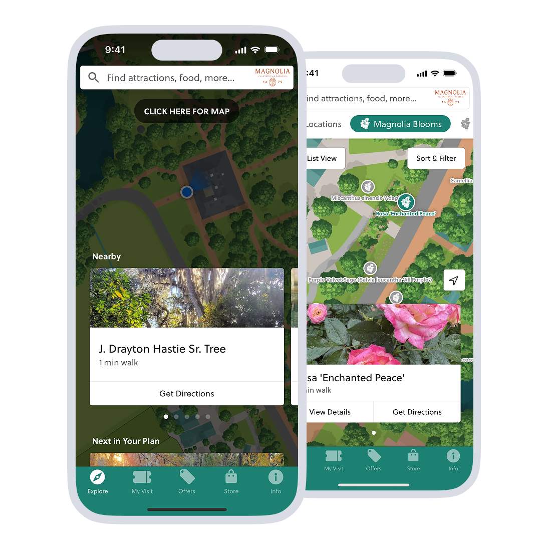 Magnolia home screen and garden