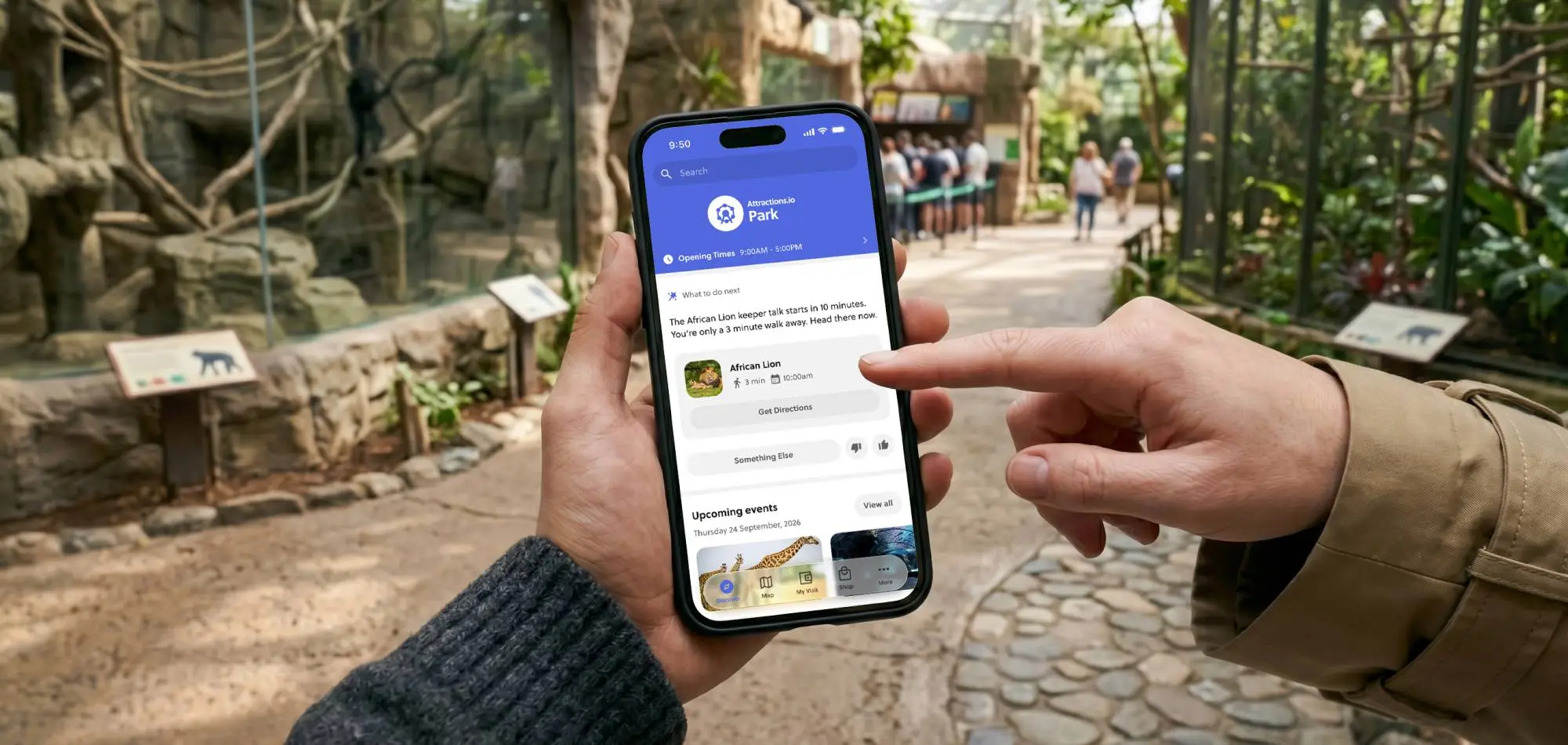 Person using a phone app showing zoo info, including African Lion exhibit and upcoming events.