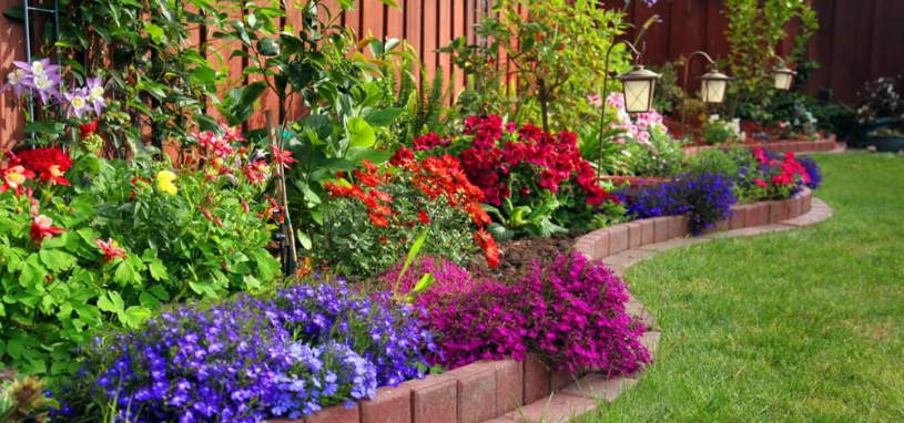 A curved garden bed is filled with bright flowers in purple, red, and pink.