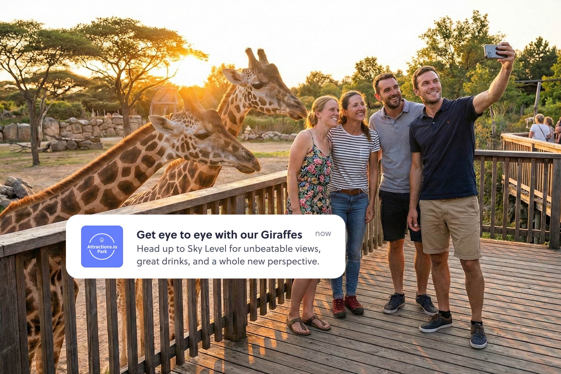 Giraffes push message to encourage a better day