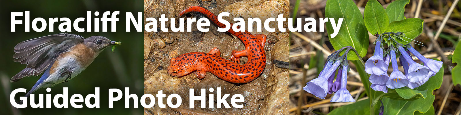 Floracliff Nature Sanctuary