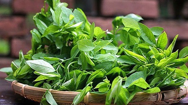 cách phá thai tại nhà bằng rau ngót