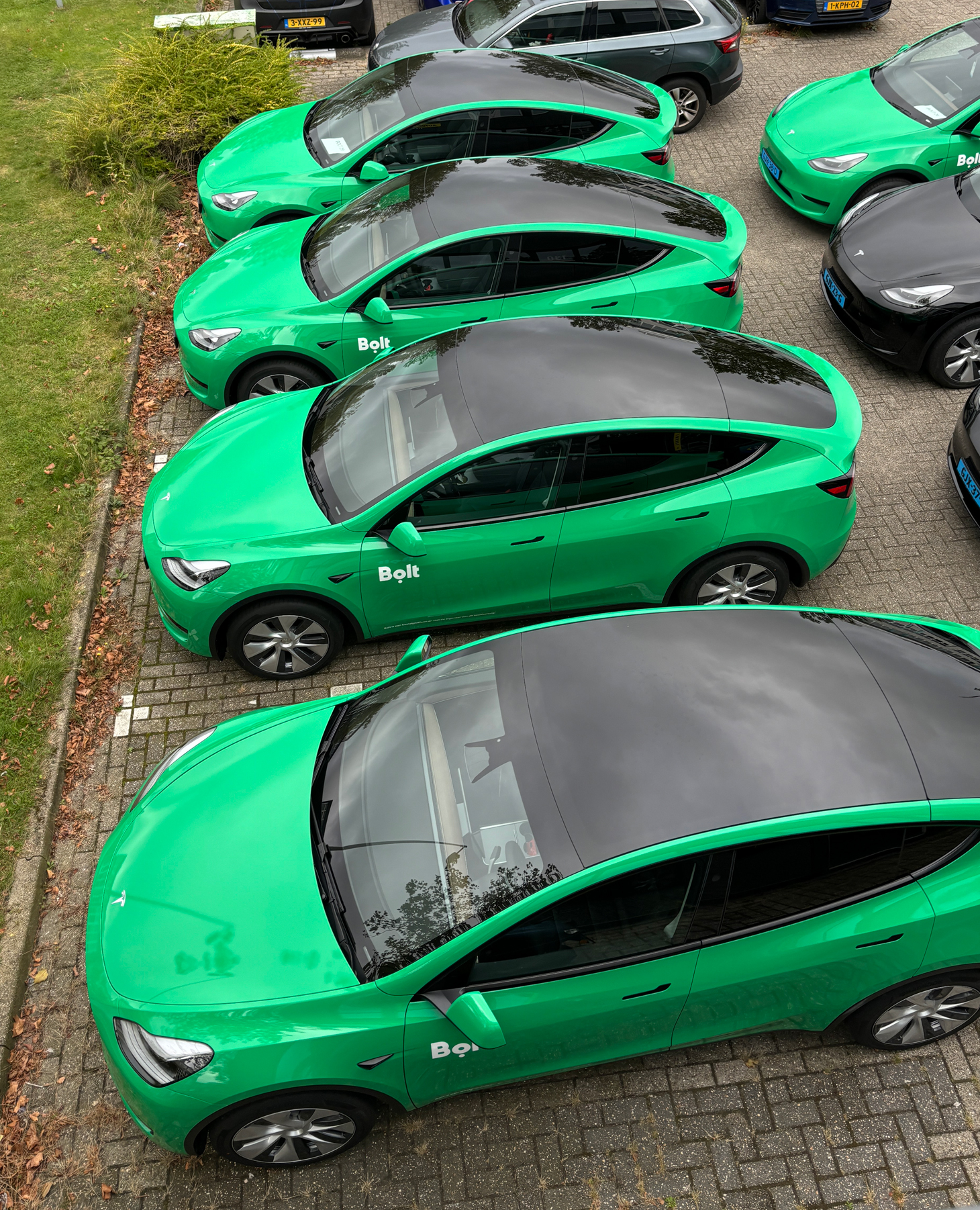 bolt wagenpark wrapping
