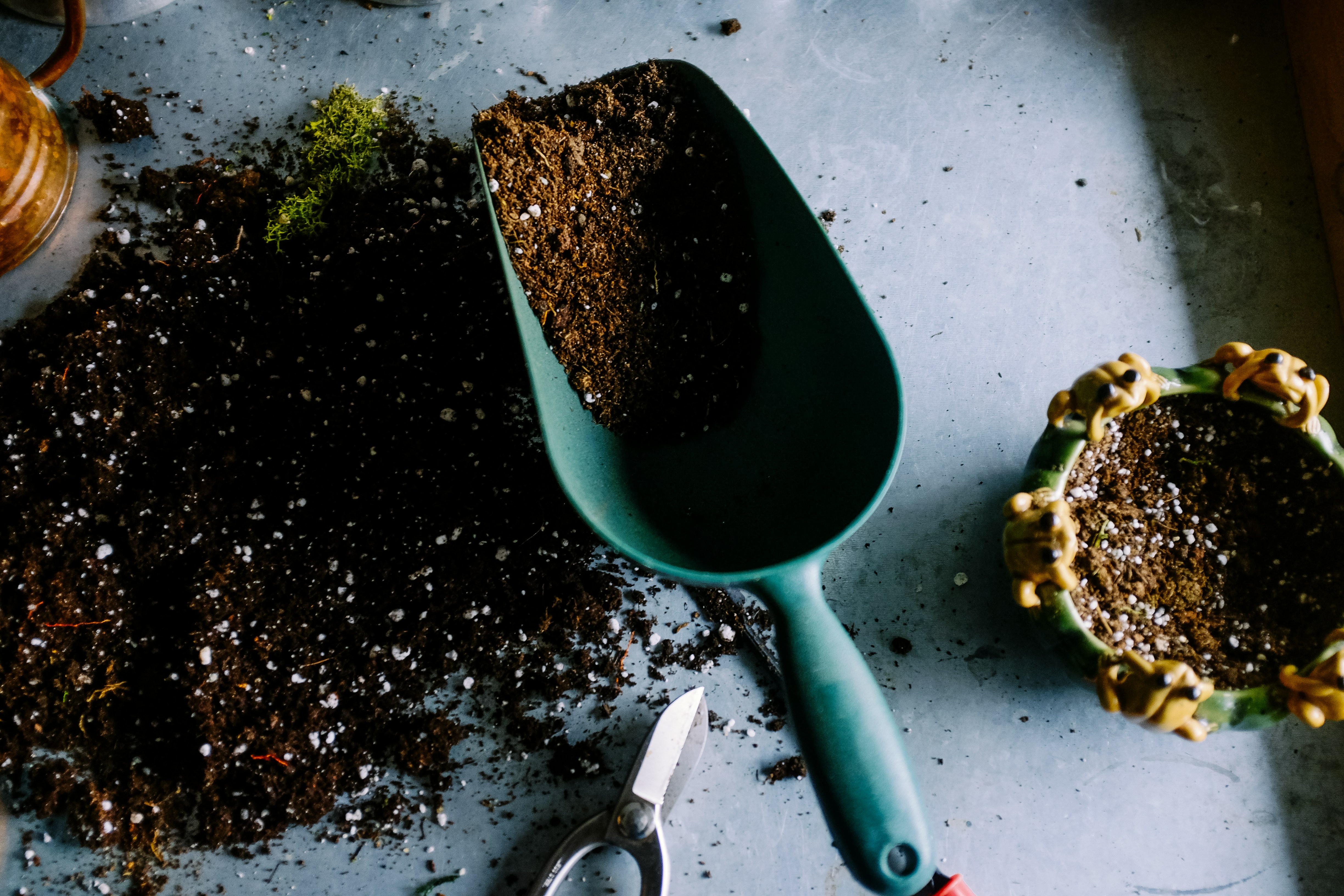 Fall Gardening: Preparing Your Garden for Winter