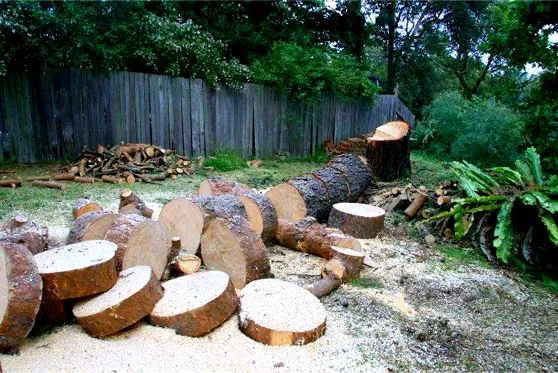 Firewood available 