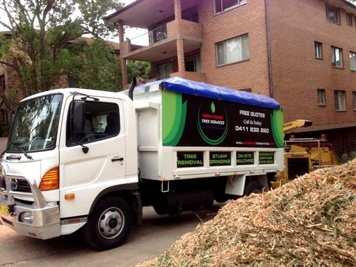 Tree services Sydney