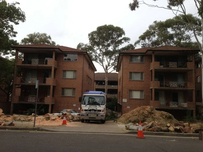 Tree services Sydney 