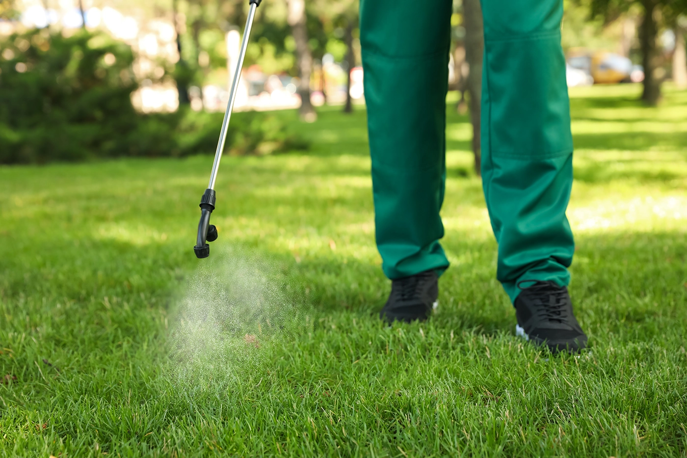 Lawn Care Website Design Link Image