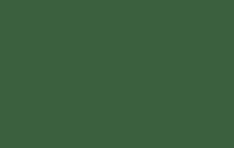 Tonewell logo animation