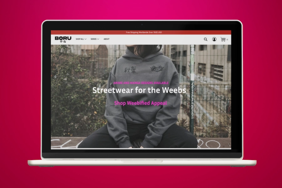 Boru Website Hero Section