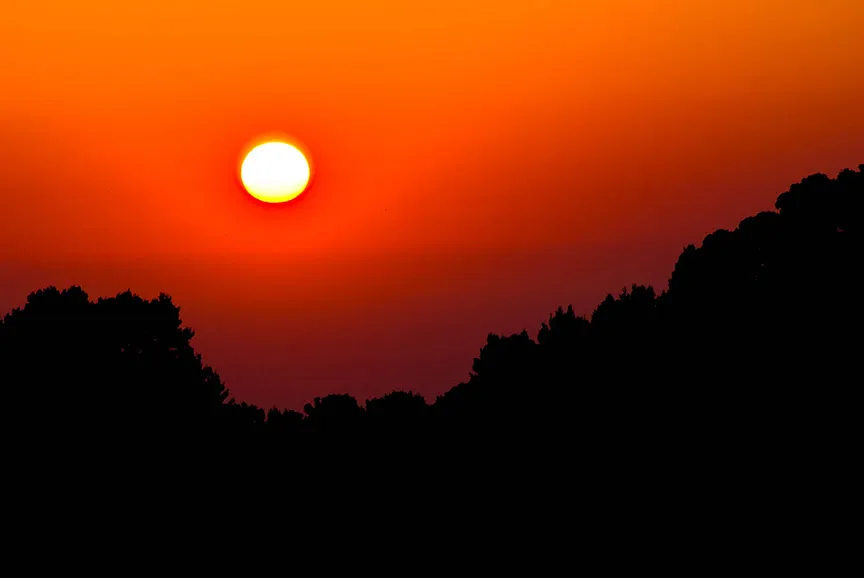 Bright sun setting behind dark silhouetted trees on a vibrant orange sky.