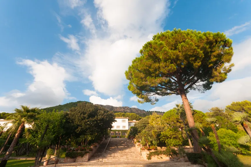 Stone steps leading up to a white building surrounded by lush green trees and a tall pine tree under a blue sky with scattered clouds.