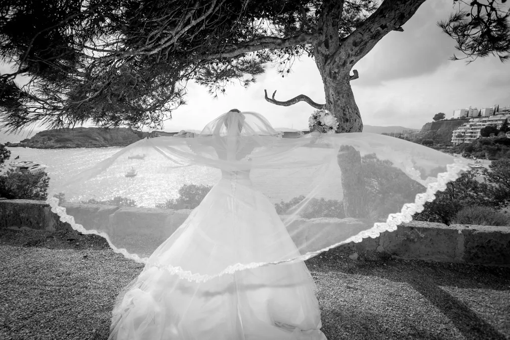 Bride in wedding dress and veil standing outdoors by a tree overlooking a sunlit bay with boats and distant buildings.