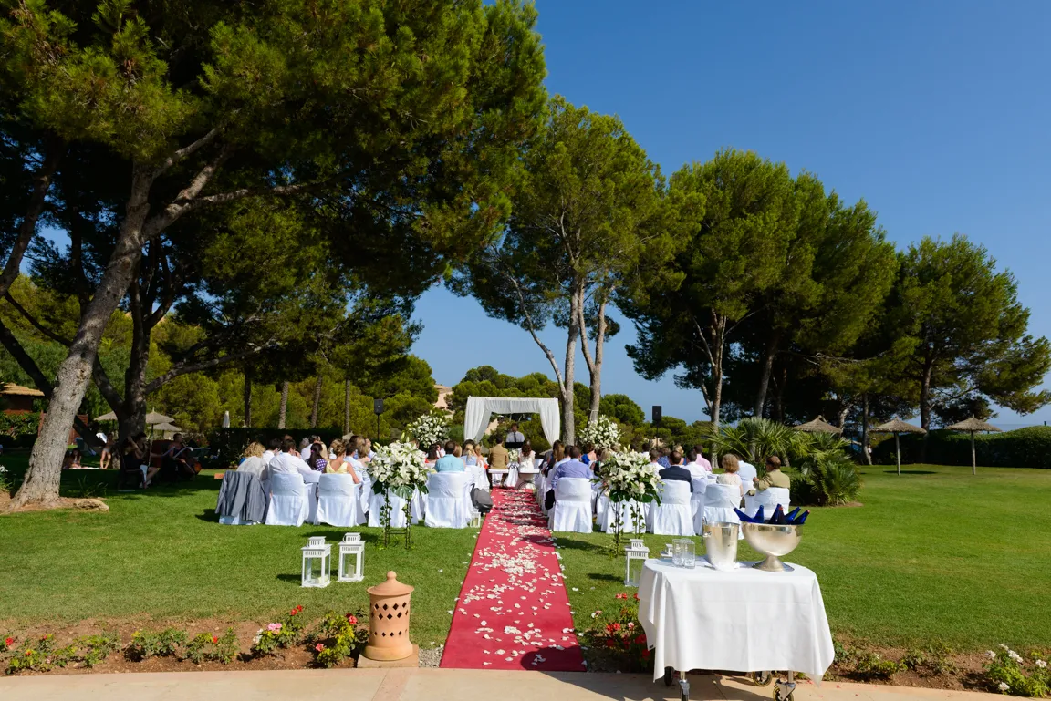 Outdoor wedding ceremony with guests seated on white chairs along a red carpet aisle decorated with white petals and flowers under tall trees.