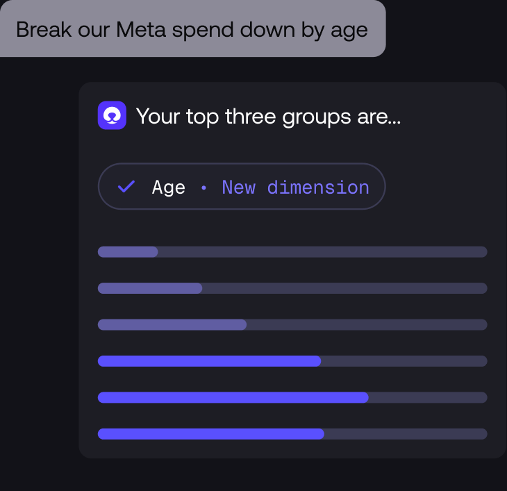 Meta ad spend broken down by age inside Polar