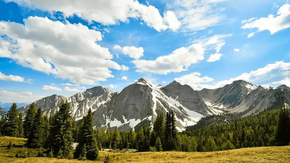 How to Find a Counsellor in BC, Canada | Tips and Resources