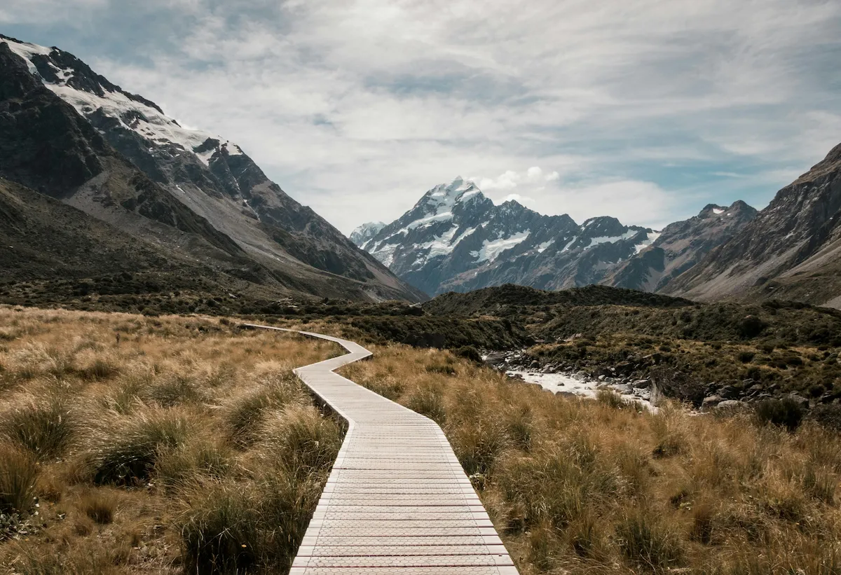 Psychedelic Therapy and PTSD: What the Research Shows