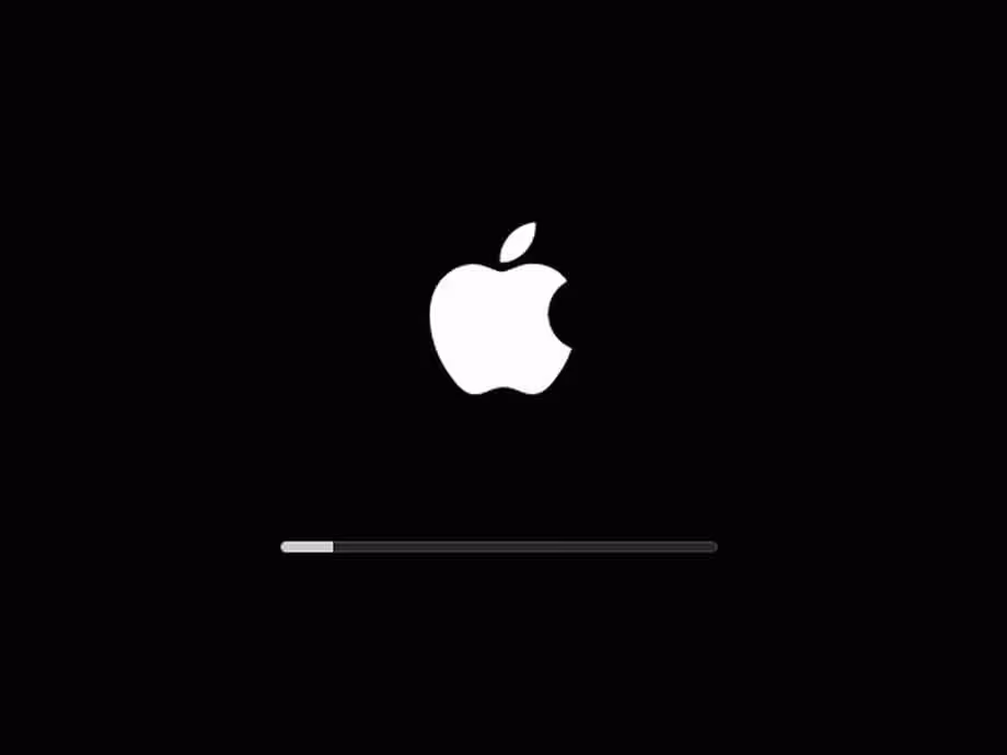 MacBook Not Booting or macOS issue